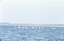 [Bild]
